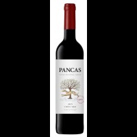 Pancas Tinto